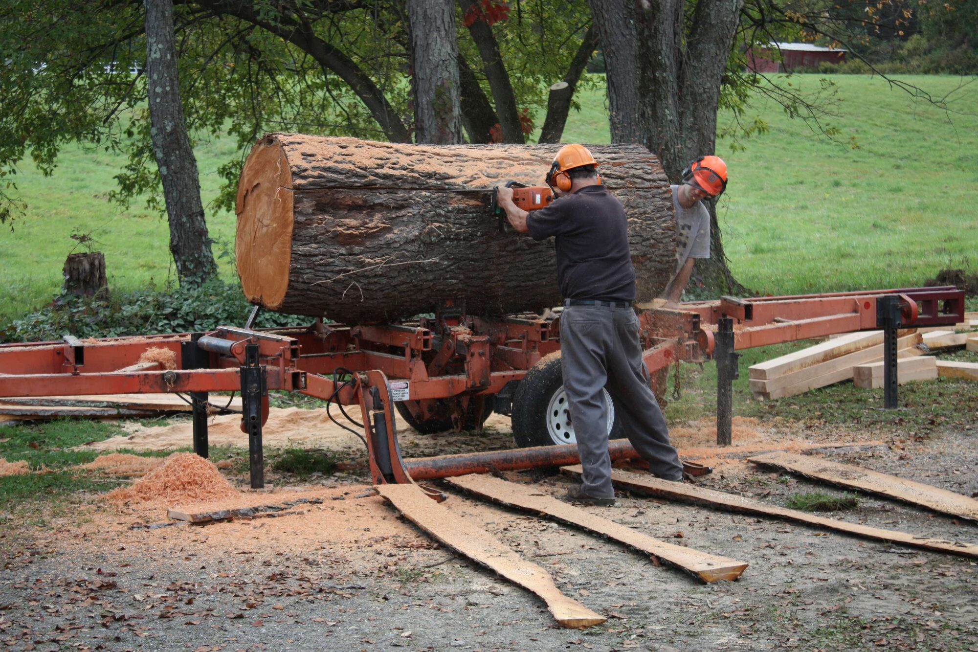Live-edge wood slabs