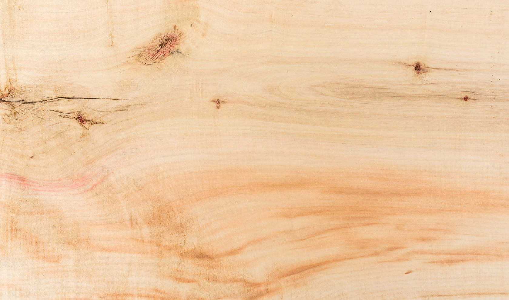 Box Elder Maple wood