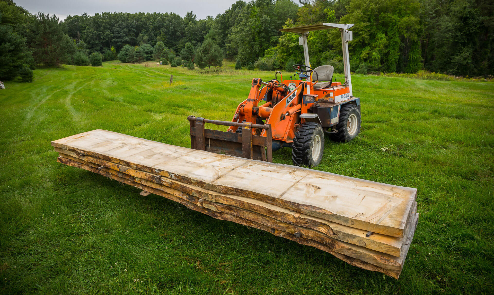 Live-edge wood slabs